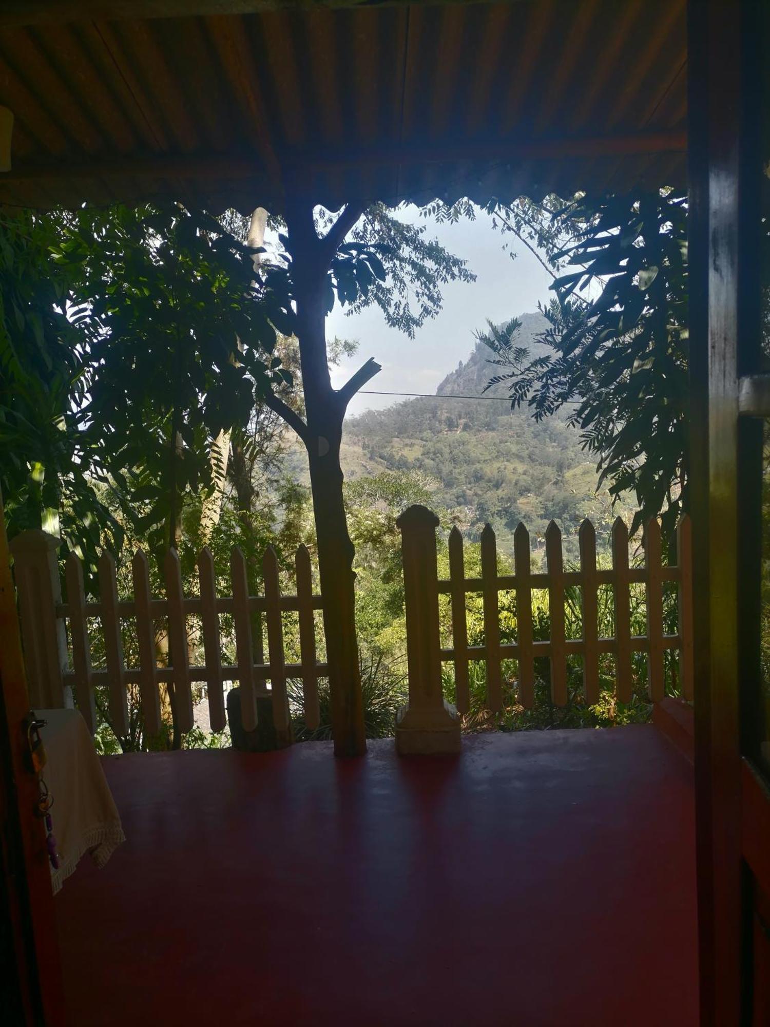 Green Villa Sunrising Procida Dış mekan fotoğraf