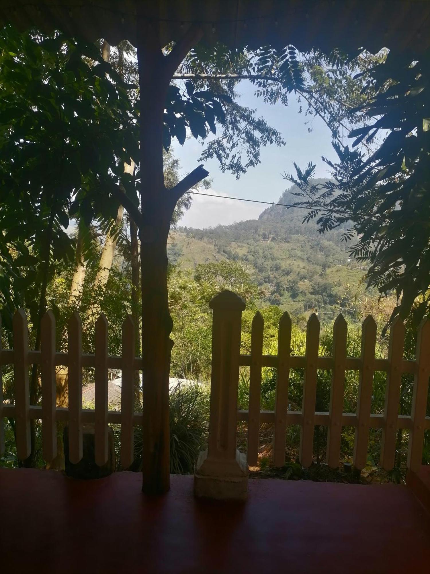 Green Villa Sunrising Procida Dış mekan fotoğraf