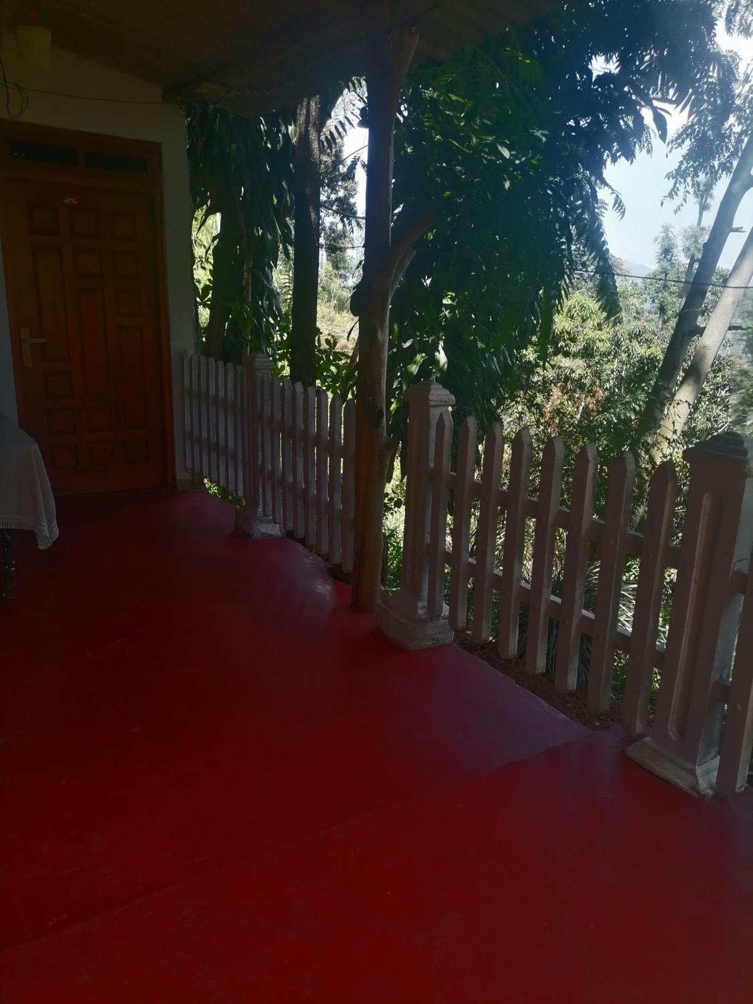 Green Villa Sunrising Procida Dış mekan fotoğraf